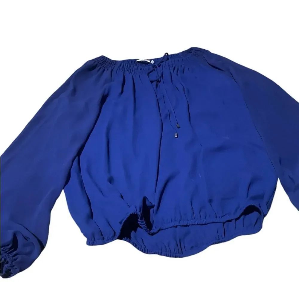 Tahari Blue Blouse